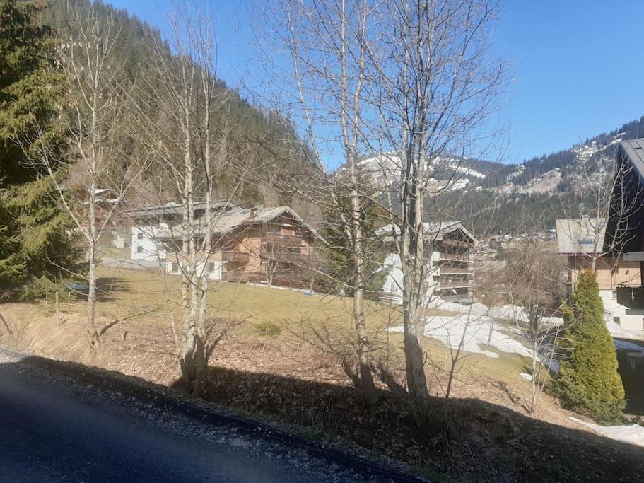 Appartement Pour 4 Personnes Au Pied Des Pistes Châtel Buitenkant foto